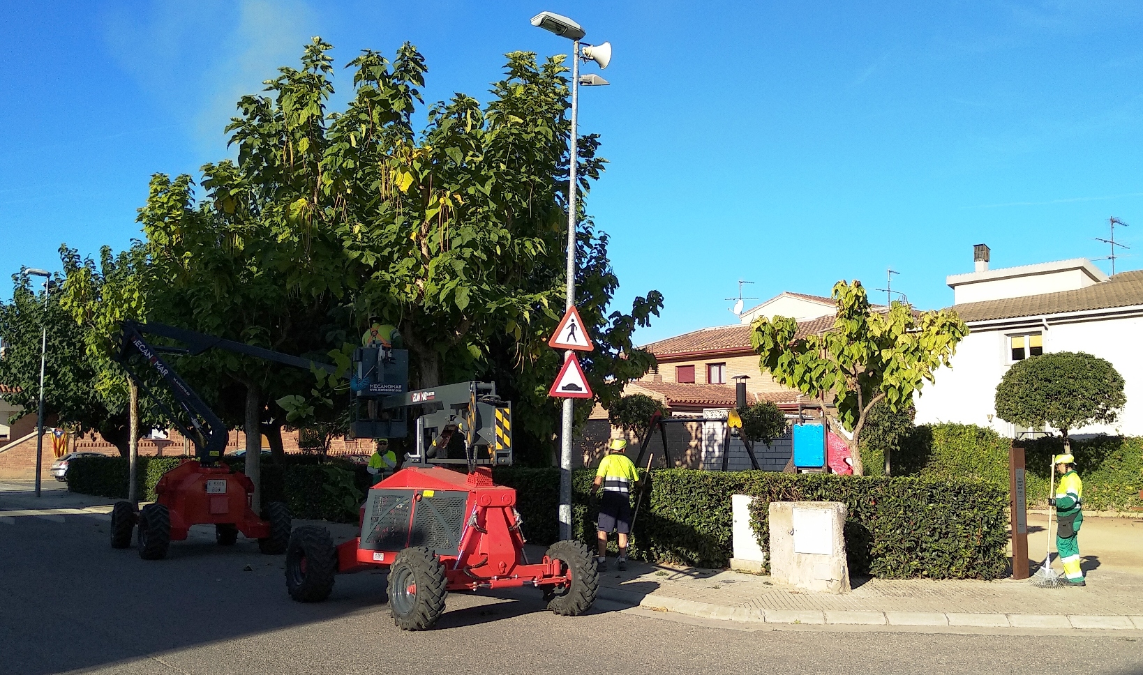 Les Borges esporga més de 700 arbres del municipi, i prova una nova tècnica ecològica