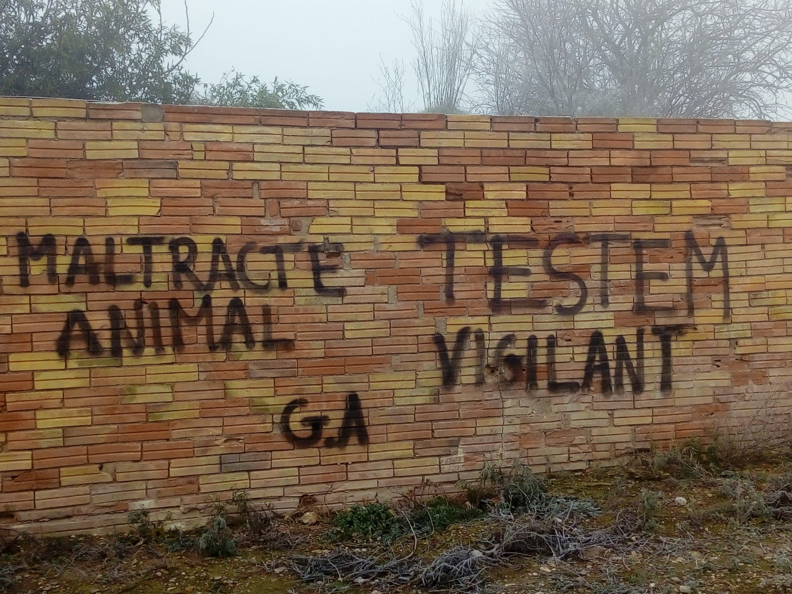 GAP Cooperativa denúncia pintades i amenaces en contra de ramaders i ramaderes GAP Cooperativa denúncia pintades i amenaces en contra de ramaders i ramaderes