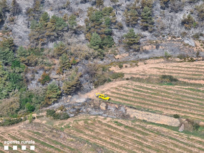 Denunciat un home per un delicte d’incendi per imprudència greu en relació a l’incendi de Fulleda i la Conca de Barberà