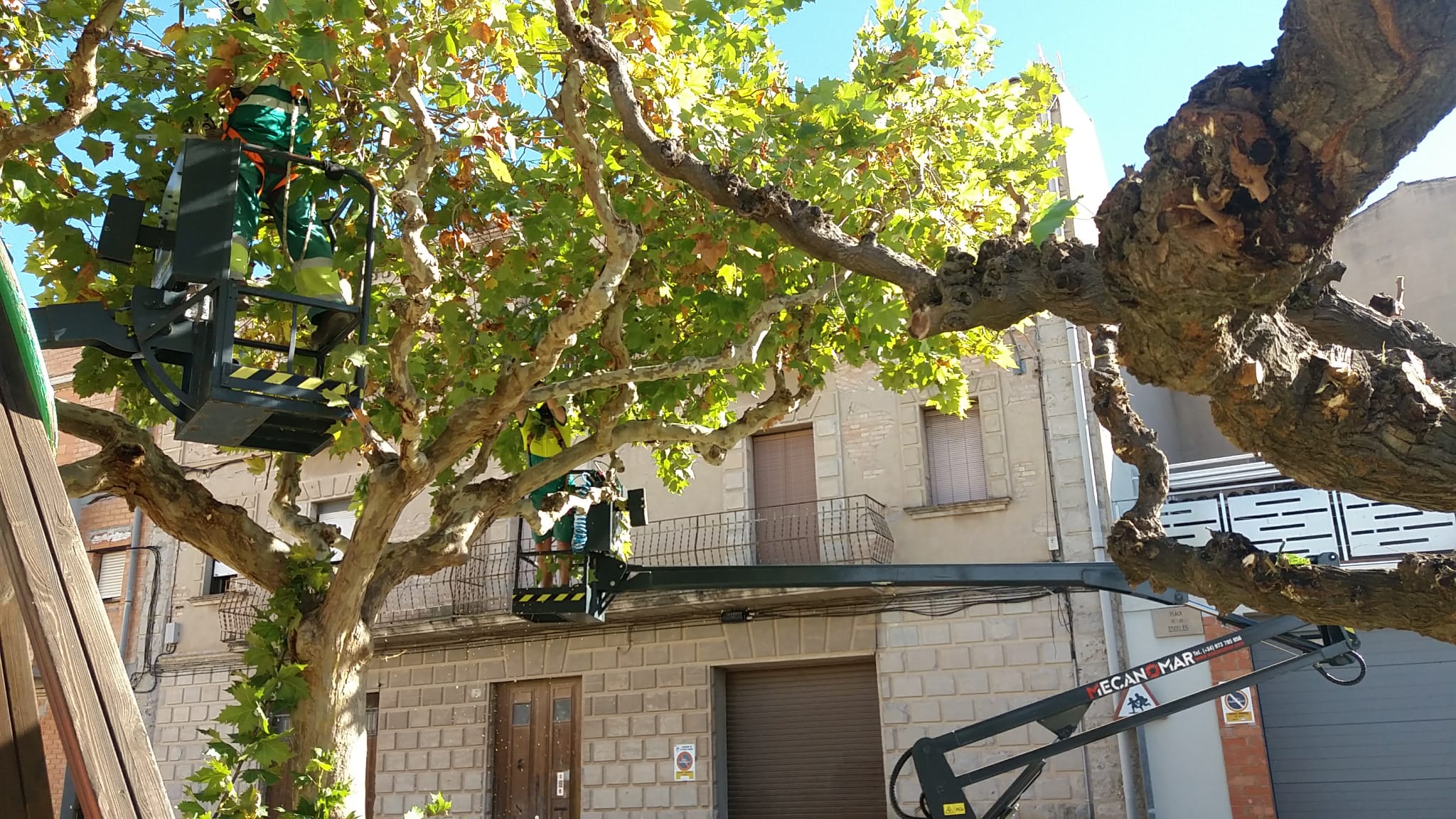 La brigada municipal de jardineria de les Borges ultima els treballs d’esporga amb un sistema més sostenible La brigada municipal de jardineria de les Borges ultima els treballs d’esporga amb un sistema més sostenible