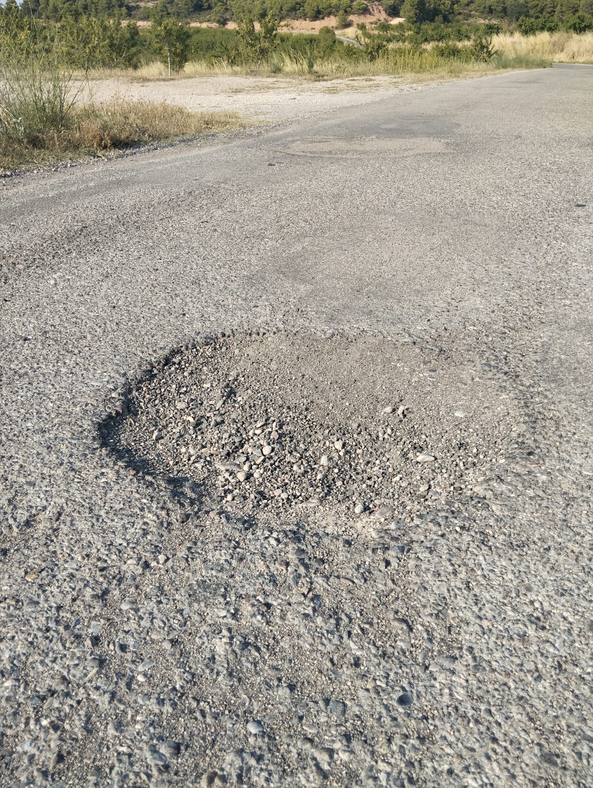 Els municipis de les Garrigues Altes reclamen que l’Eix que uneix Albagés, els Torms i Bellaguarda passi a ser de titularitat supramunicipal