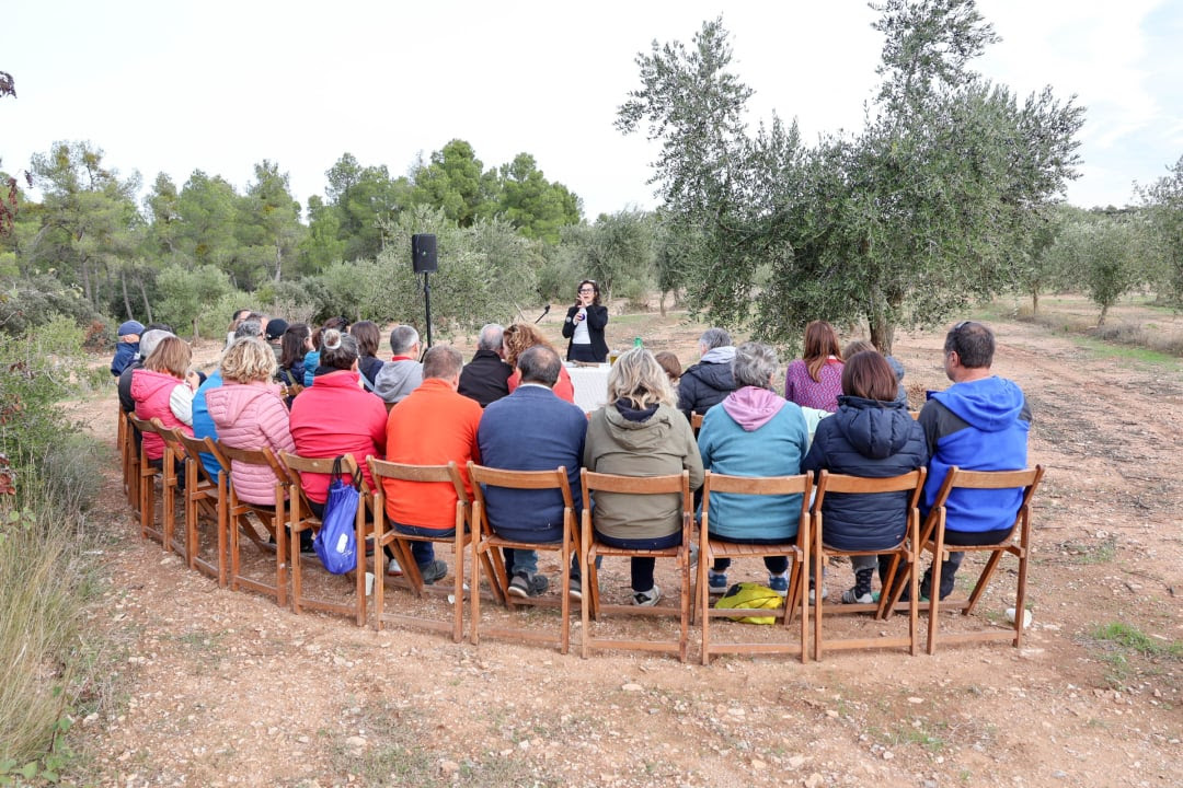 Fulleda viu un matí entre oliveres que combina gastronomia, cultura i música