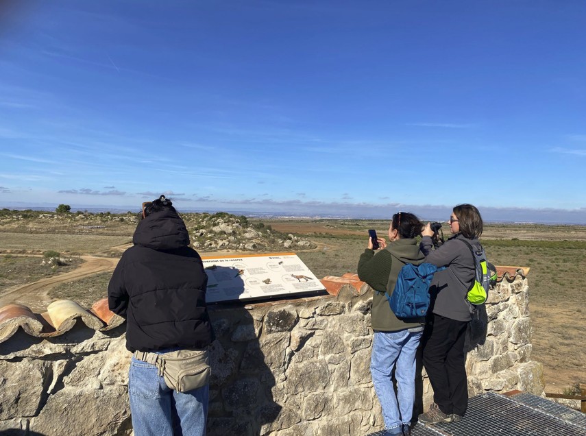 Les Garrigues acull accions de divulgació del projecte europeu LIFE Connect Ricotí per a la conservació dels secans Les Garrigues acull accions de divulgació del projecte europeu LIFE Connect Ricotí per a la conservació dels secans